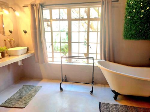 Lion's Guesthouse And The Buck&lion Restaurant - Groblersdal