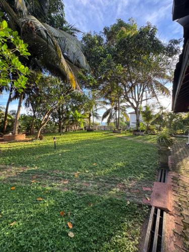 Browns Hill Matara - image 5