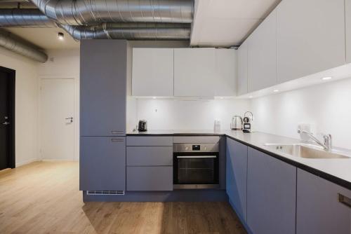 Norrebro big apt - image 4