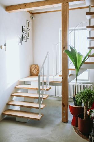 Renovated City Centre Apartment in Madona