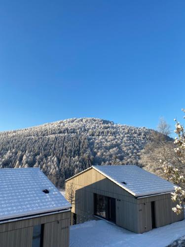 Sauerland Lodge - Haus Juliana in Winterberg, Deutschland