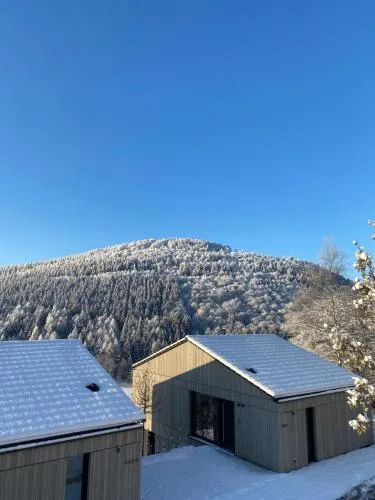 Sauerland Lodge - Haus Juliana in Winterberg, Deutschland
