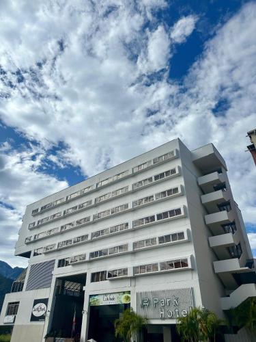 Park Hotel Merida in Merida