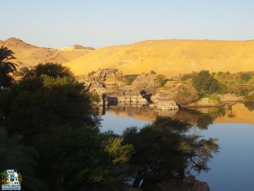Nubian Lotus – Aswan, CO