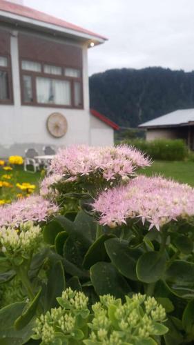 Sky view Resort Shogran in Shogran