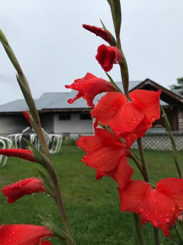 Sky view Resort Shogran in Shogran