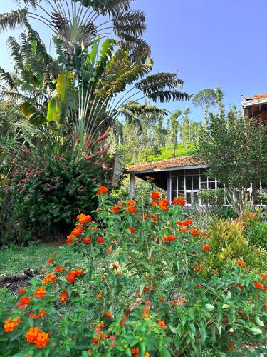 Massbungalow in Thavinhal