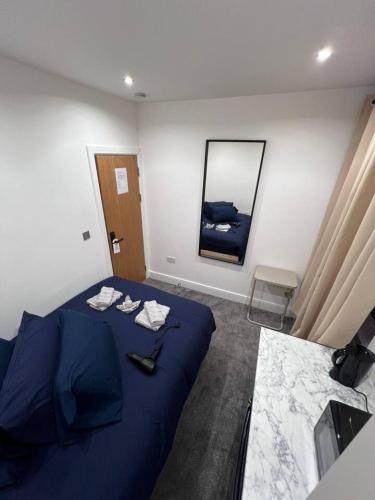 Zone 1, Central London Room