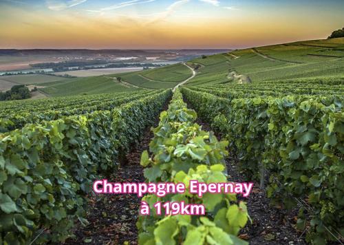 Small 2 room cocoon in a luxury building in Lognes