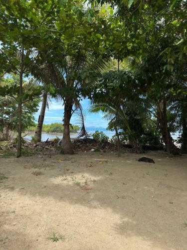 Sujees surf stay, cloudbreak in 莫米