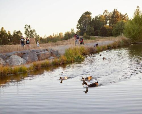 Descansa en la naturaleza , céntrico