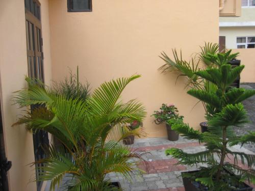 Palvelut, SM Lodge in Mauritius