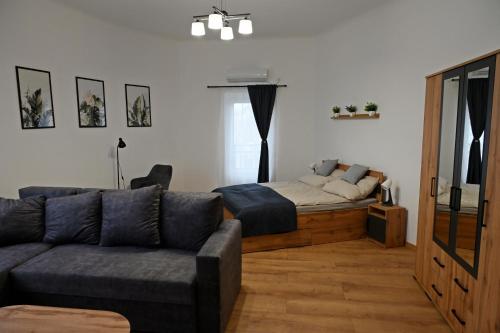 Palatini Apartman - Location saisonnière - Nyíregyháza