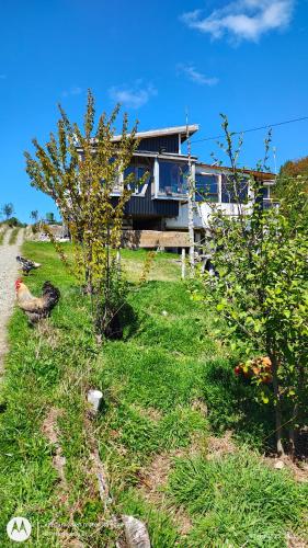 Hospedaje Familiar Refugio Coihuin