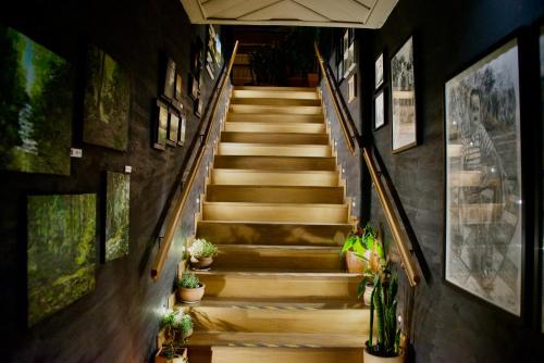 Casa Mosaiko Sonsón