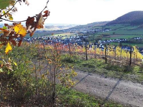 Iekārtas, 2 Weinhaus Marmann in Osann-Monzel