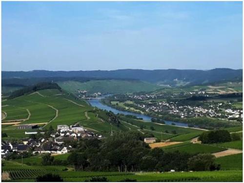 Iekārtas, 2 Weinhaus Marmann in Osann-Monzel