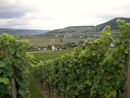 Iekārtas, 2 Weinhaus Marmann in Osann-Monzel