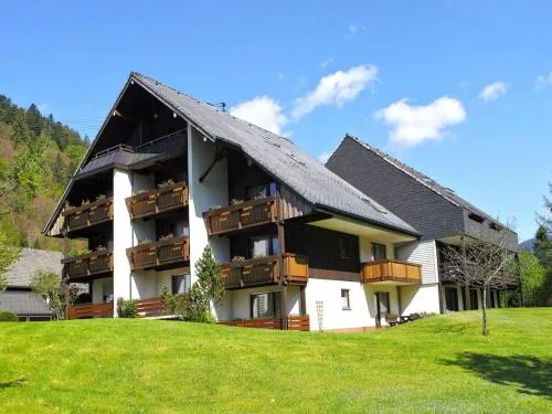 Holiday apartment with 1 bedroom in Menzenschwand-Hinterdorf, Deutschland