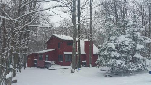 4 bedrooms, 7 beds