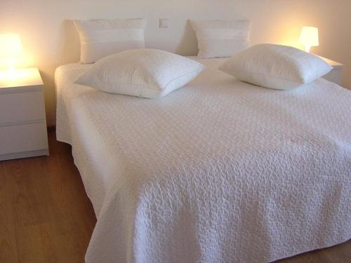 Iekārtas, Holiday apartment with 2 bedrooms in Sasbach am Kaiserstuhl