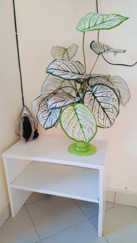 Phee home in Mombasa