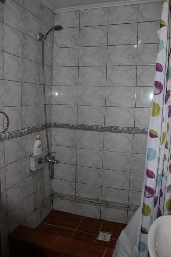 Cabaña y Hostal Dr Steffens