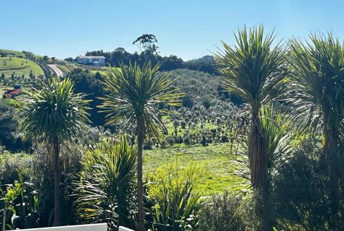 Skats, Redshed Studio Mangawhai in Mangavai
