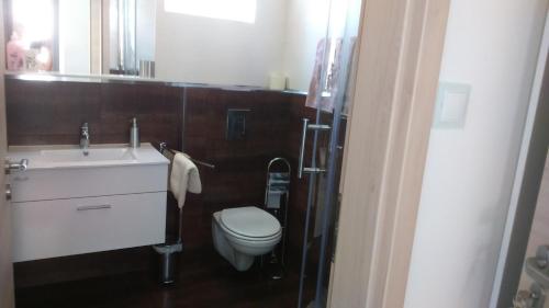 Vila Ema Apartments and Rooms - image 2