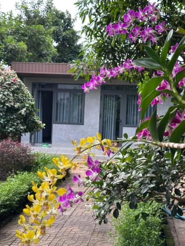 Homestay Buon Me 1 - Thanh Pho Buon Ma Thuot Homestay Buon Me 1 - Thanh Pho Buon Ma Thuot