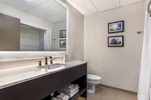 Suite, premium