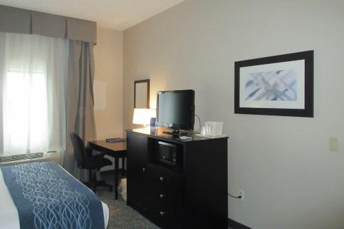 Comfort Inn - image 12