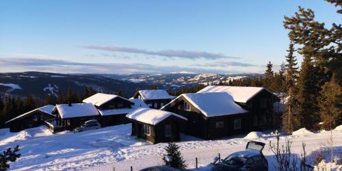 景观, Family cabin in Hafjell, ski in-ski out in 奥于厄尔
