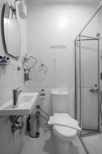 Family Istanbul Hotel - image 10