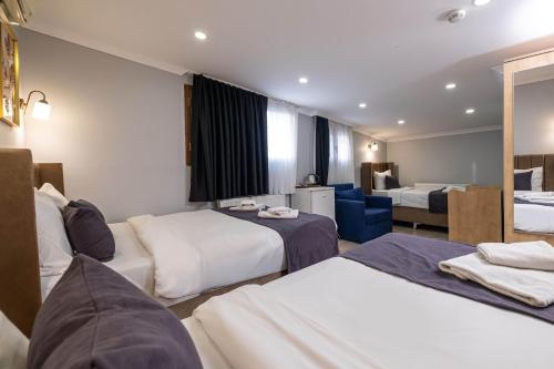 Family Istanbul Hotel - image 10