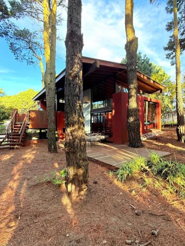 Moderna casa en valeria del mar rodeada de bosque