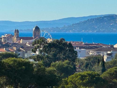 Surrounding environment, Panorama Majestic in Vallon de Coste