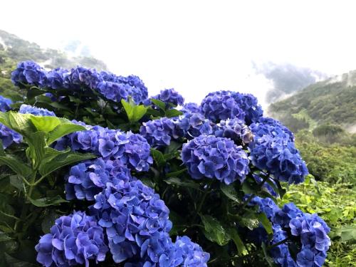 Nouka Minsyuku Nakajima - Vacation STAY 99829