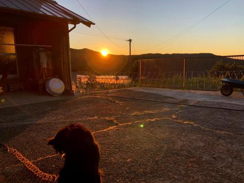 Nouka Minsyuku Nakajima - Vacation STAY 99829