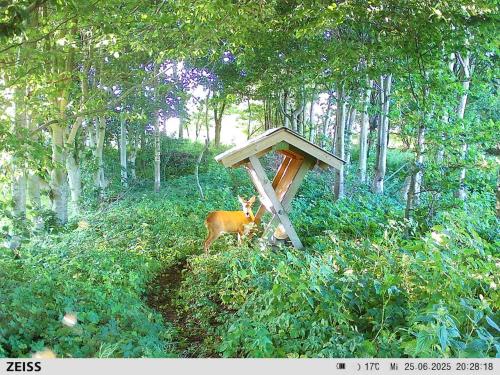 Вид, Naturskønt nær Ribe Vikingecenter, se og oplev den gamle by Ribe in Рібе