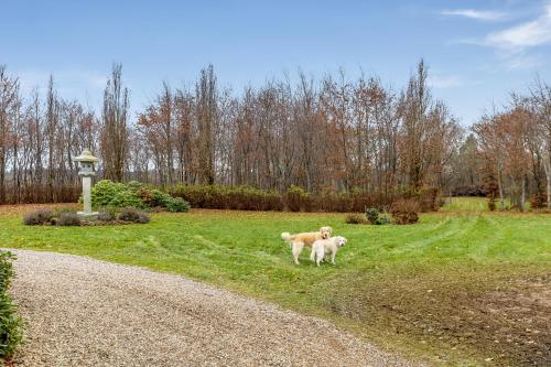 Naturskønt nær Ribe Vikingecenter, se og oplev den gamle by Ribe in Рібе