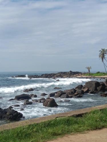 Pearl bay homestay - image 3