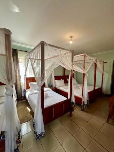 Patamu Restaurants Lodge & Safaris in Karatu