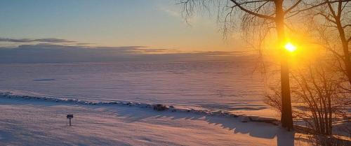 AmericInn by Wyndham Menominee - main image