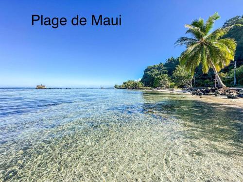 Altavista retreat, quietness near Teahupoo and Taravao in Vaira'o
