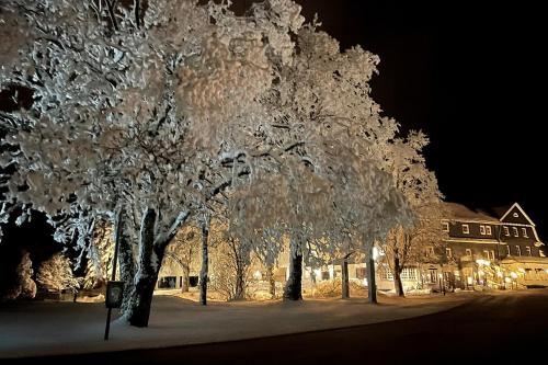 Hotel Altastenberg in Winterberg