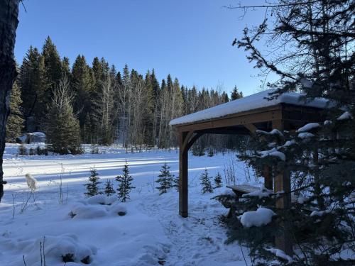 Private 2BR Forest Suite in Bragg Creek with Hot tub, pond, 17 acres of trails in Bragg Creek (AB)