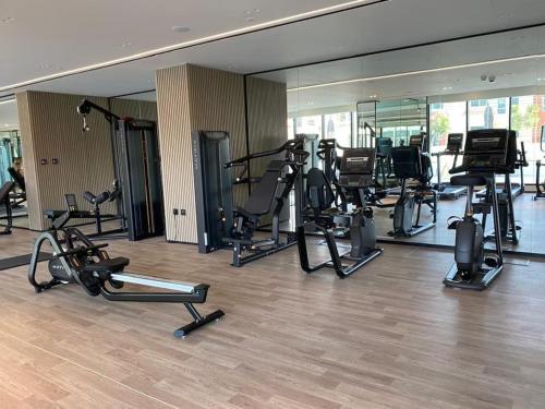 Large 1 Bedroom Apartment in Azizi Riviera 15 - image 11