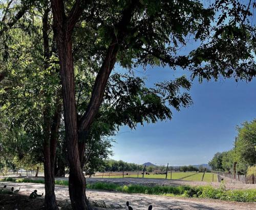 2 bed, yard, pet friendly in Historic Mesilla. in 聖思多羅