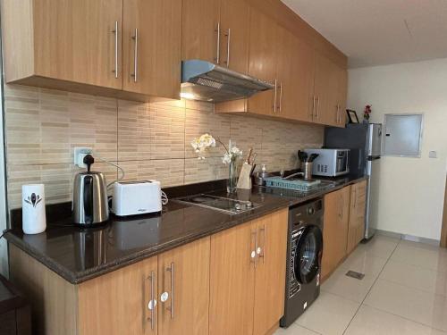 Modern Studio - Lincoln Park West - Dubai Arjan - image 12